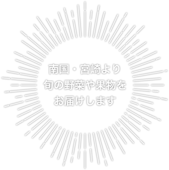 南国・宮崎より旬の野菜や果物をお届けします