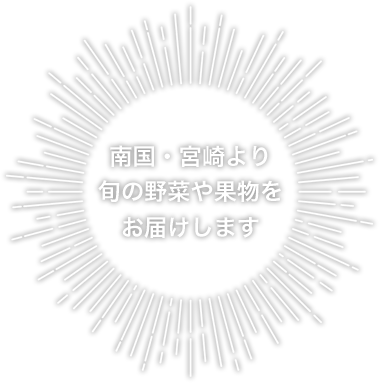 南国・宮崎より旬の野菜や果物をお届けします